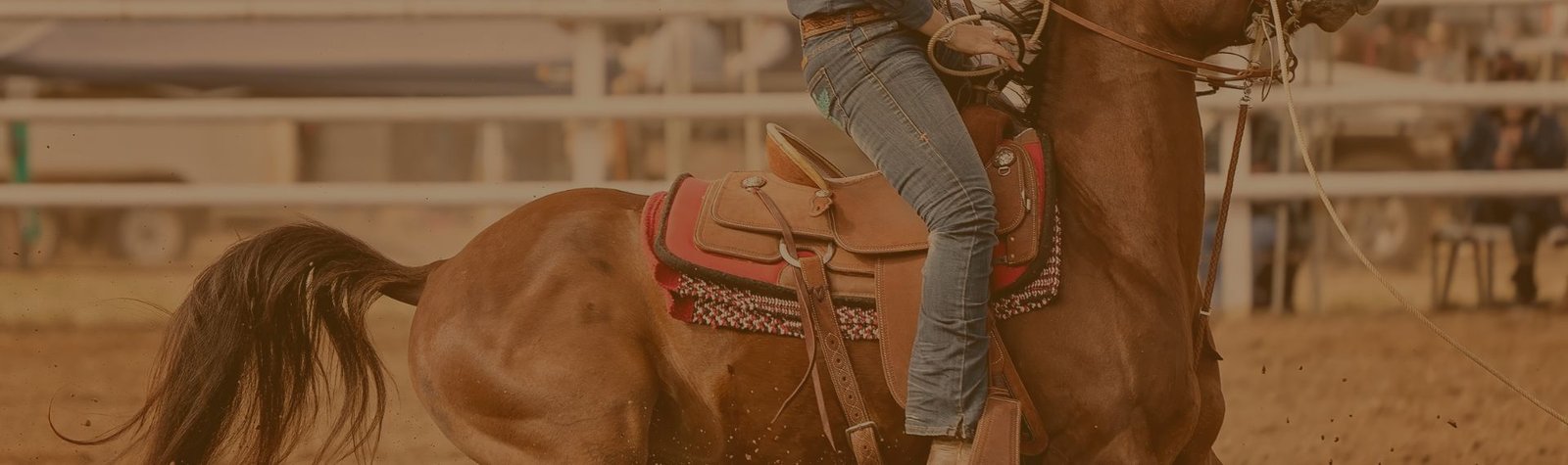 Produtos para montaria em Arapeí