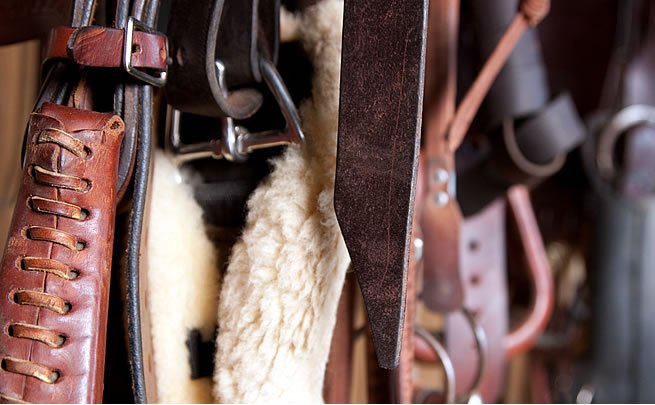 Acessórios para Montaria em Areias