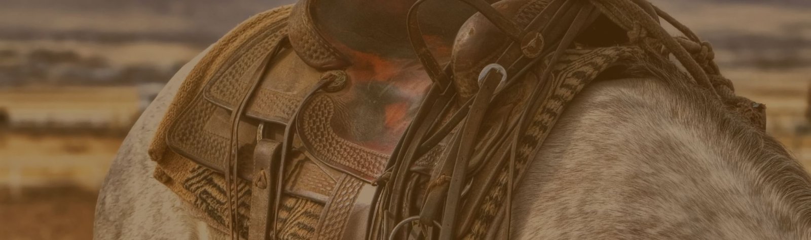 Selas em Pindamonhangaba