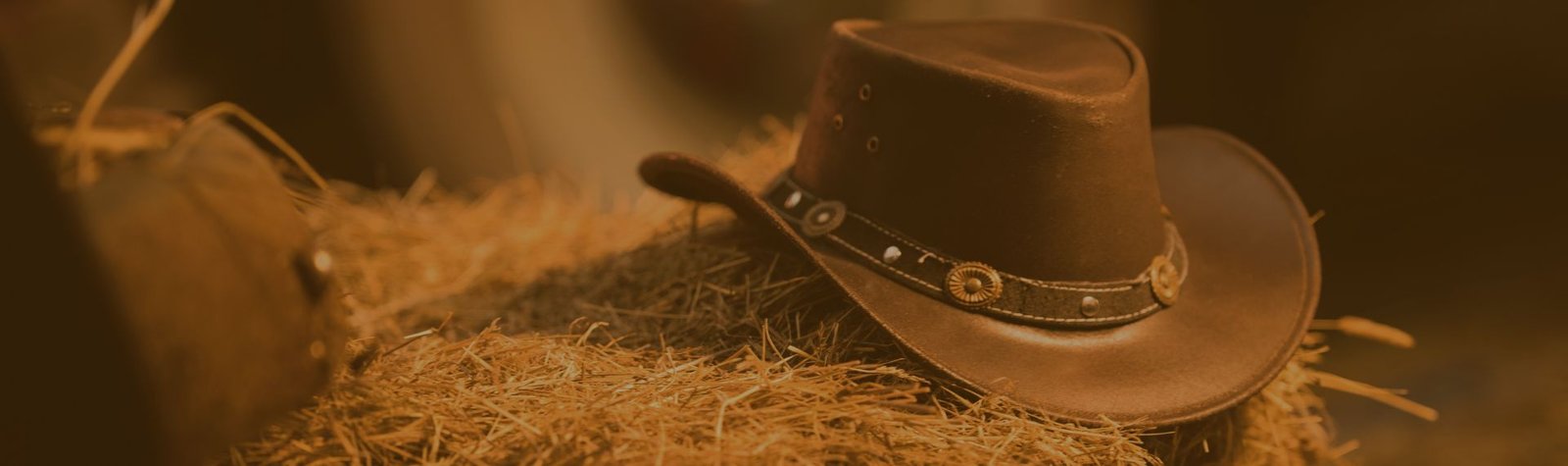 Chapéu Country em São José do Barreiro